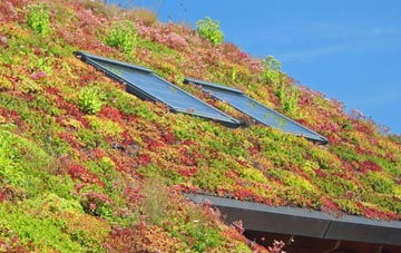 Ilketshall St Lawrence living roof systems